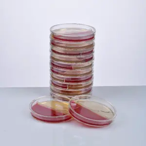 FERTIGER SCHAFBLUT+UTI-AGAR