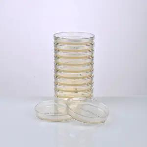 FERTIGER KARTOFFELDEXTROSEAGAR