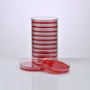 FERTIGER SCHAFBLUT-MUELLER-HINTON-AGAR