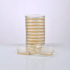 FERTIGER DNASE-AGAR