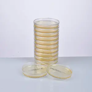 FERTIGER GALLEN-ESCULIN-AGAR