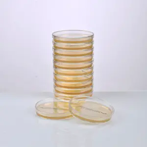 FERTIGER SDA + GENTAMICIN + CHLORAMPHENICOL-AGAR