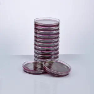 FERTIGER ENDO-AGAR