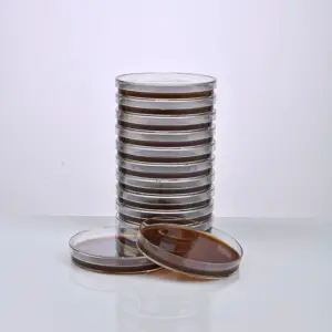 FERTIGER THAYER-MARTIN-AGAR