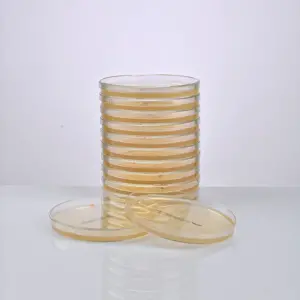 FERTIGER MUELLER-HINTON-AGAR (90 mm Petri)