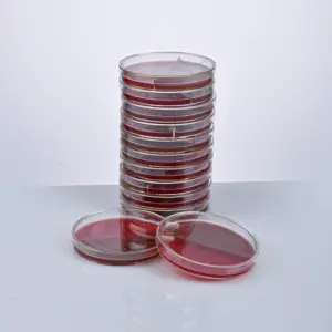 FERTIGES SCHAFBLUT + SCHOKOLADENAGAR